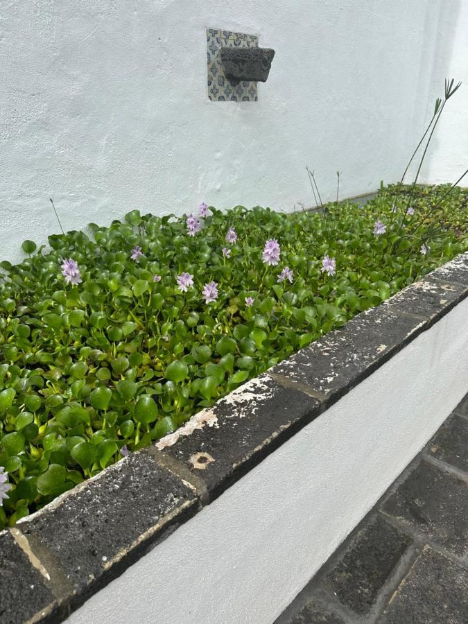 Solar Nossa Senhora Da Conceicao Villa Capelas Eksteriør billede